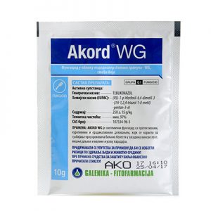 Akord WG 10gr