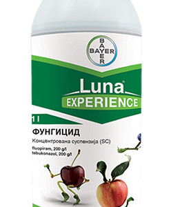LUNA EXPERIENCE 1l