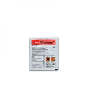 SIGNUM 30gr