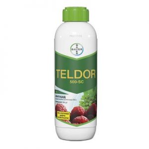 TELDOR 500SC