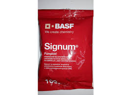 SIGNUM 100gr
