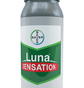 LUNA SENSATION 100ml