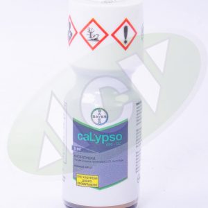 CALIPSO 5 ML