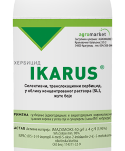 IKARUS 1L