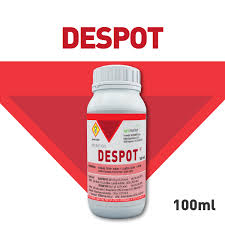 DESPOT 100ML
