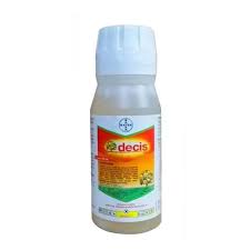DECIS EXPERT 50ML.